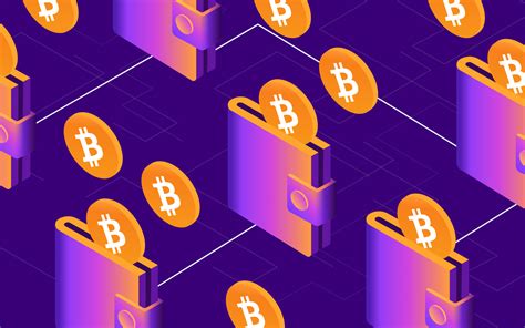 multiple crypto wallets